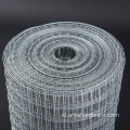 Pasokan pagar HDG industri HDG Wire Wire Mesh